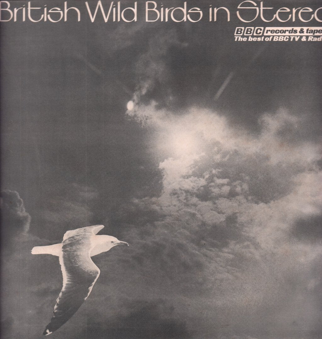 British Wild Birds In Stereo - British Wild Birds In Stereo - Lp