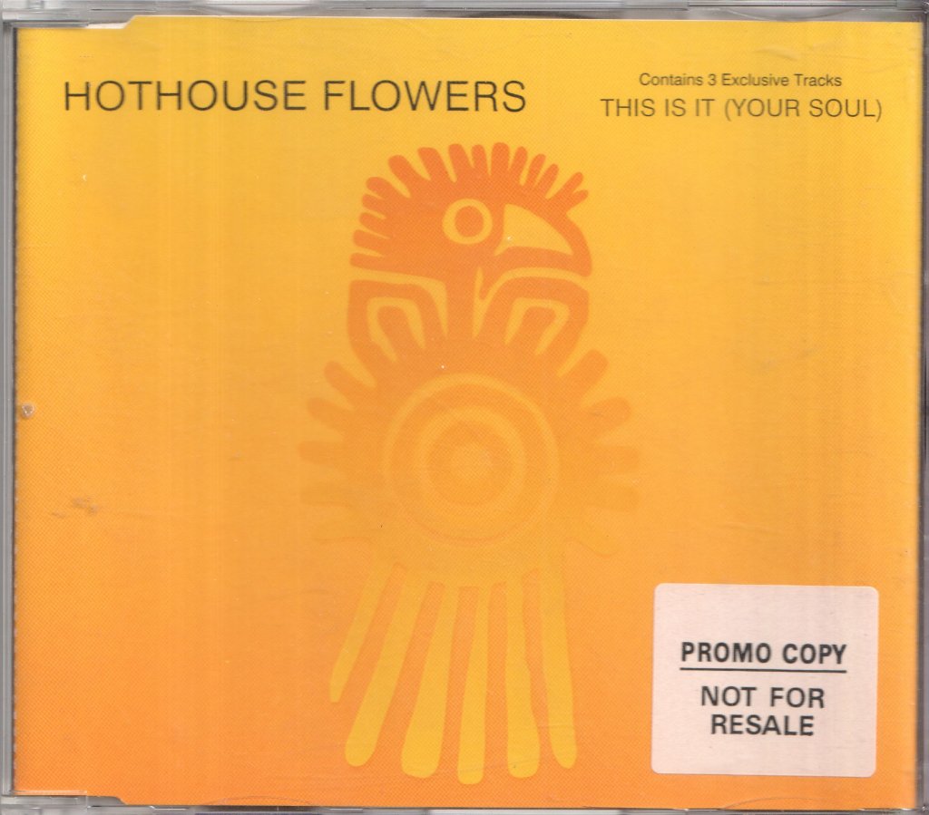 Hothouse Flowers - This Is It - Cd