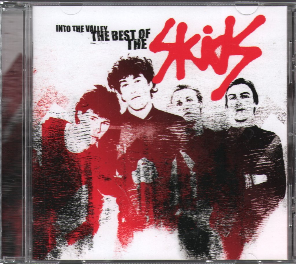 Skids - Skids Into The Valley: The Best Of The Skids - Cd