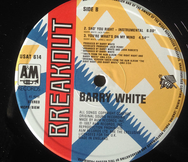 Barry White - Sho' You Right - 12 Inch