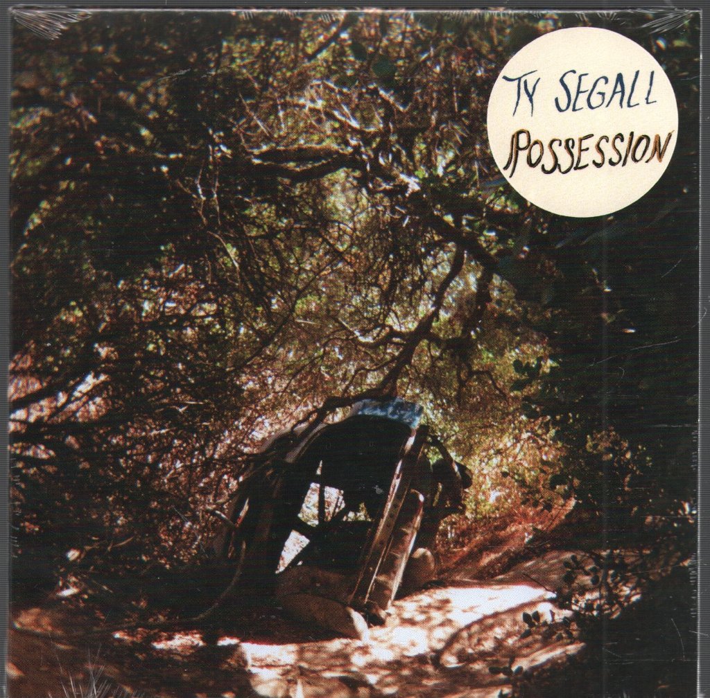 Ty Segall - Possession - Cd