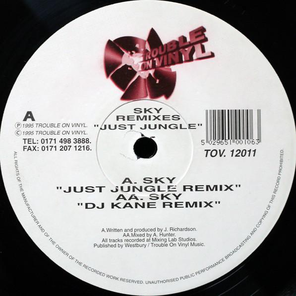 Just Jungle - Sky Remixes - 12 Inch