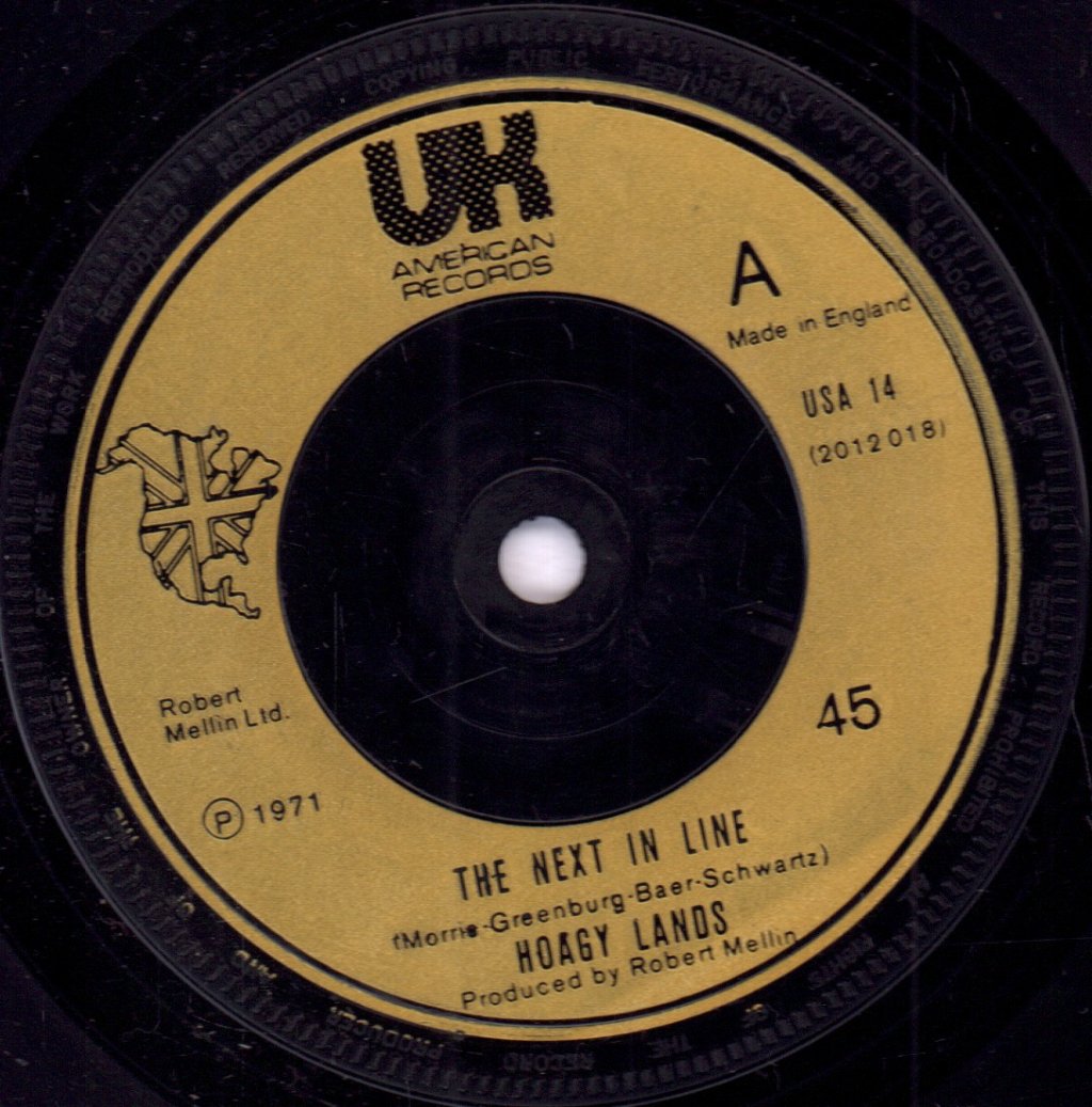 Hoagy Lands - Next In Line - 7 Inch
