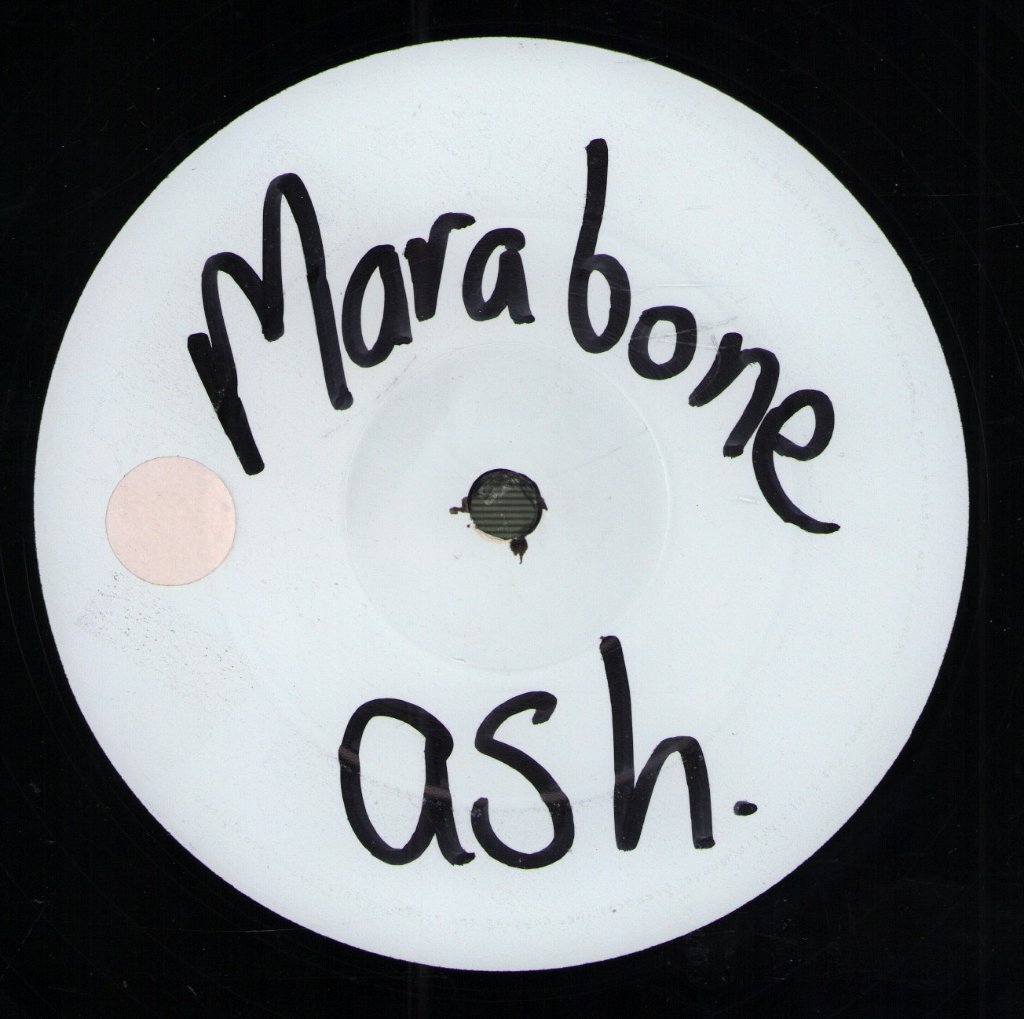 Various Artists - Raptor Presents - 12 Inch