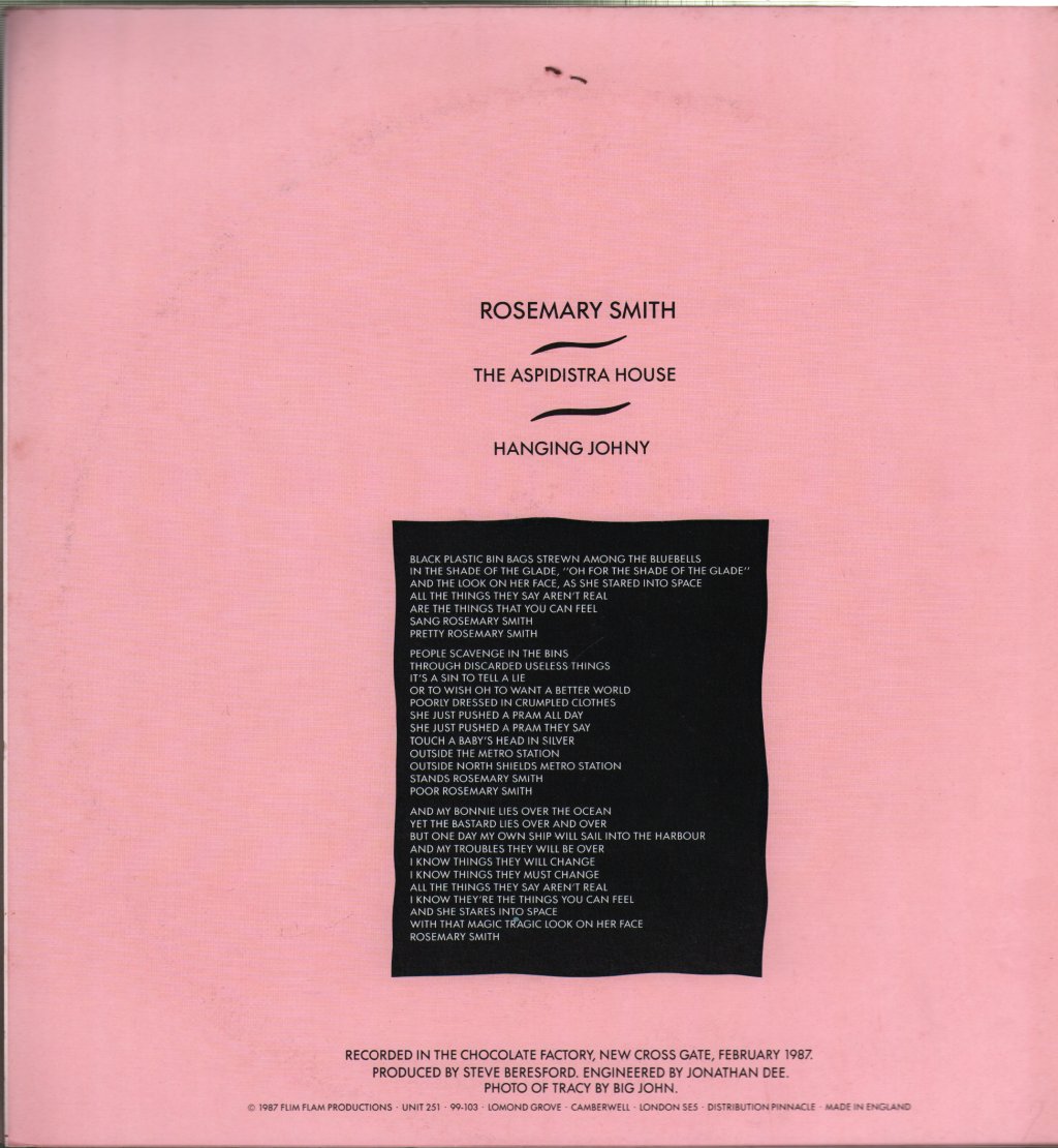 Band Of Holy Joy - Rosemary Smith - 12 Inch