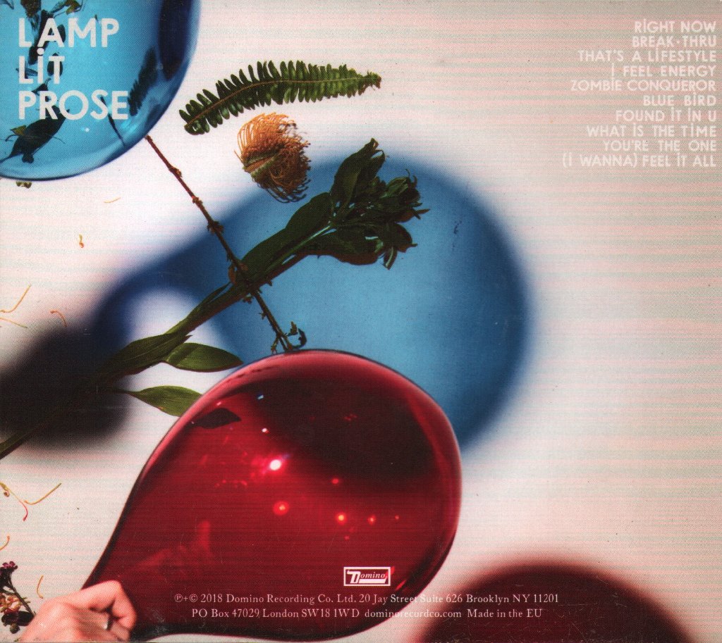 Dirty Projectors - Lamp Lit Prose - Cd