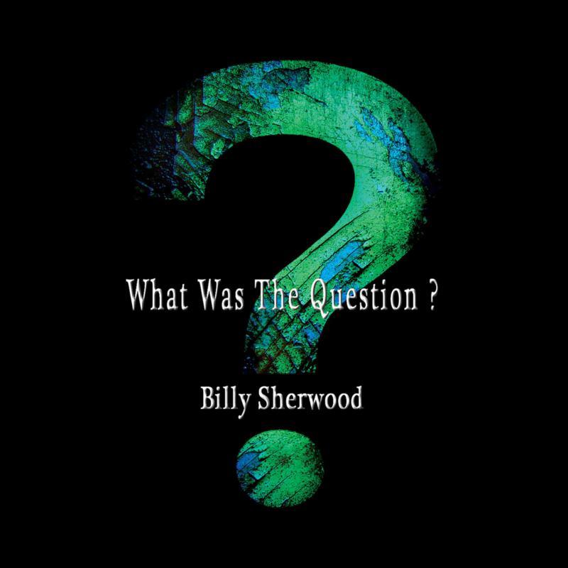 Billy Sherwood - What Was the Question? - Cd