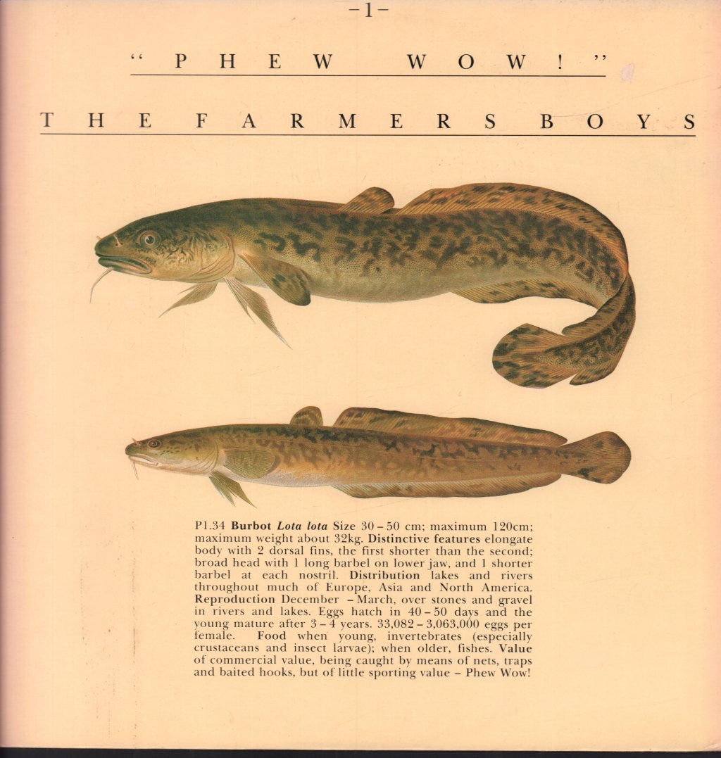 Farmer's Boys - Phew Wow ! - 12 Inch