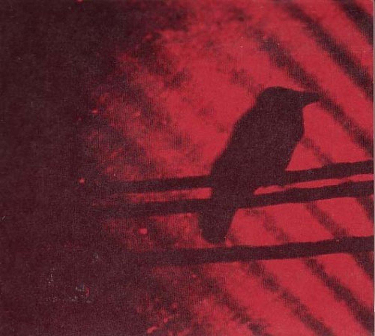 Silver Mt. Zion - Born Into Trouble As the Spark - 10 Inch