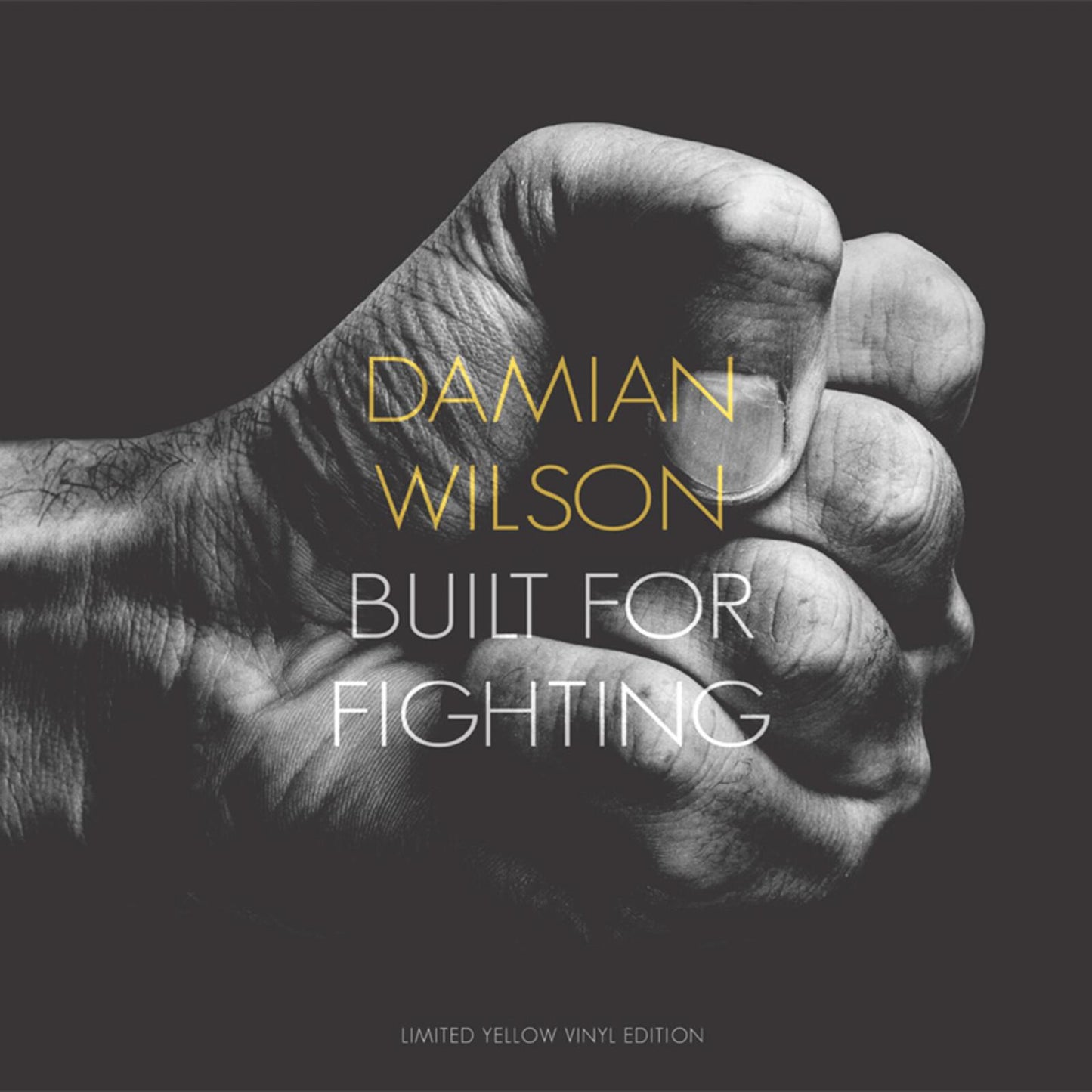 Damian Wilson - Built For Fighting - Lp