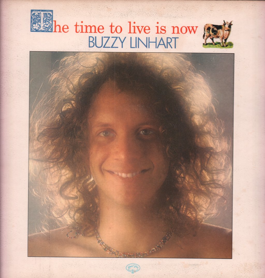 Buzzy Linhart - Time To Live Is Now - Lp
