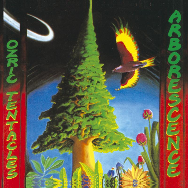 Ozric Tentacles - Arborescence - Cd
