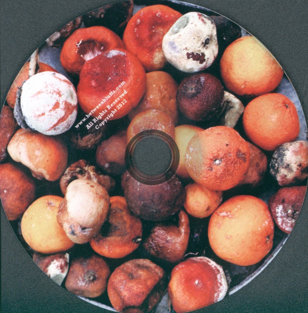Between Bluffs - Faults To Fruit - Cd