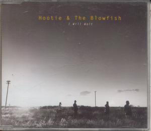 Hootie And The Blowfish - I Will Wait - Cd