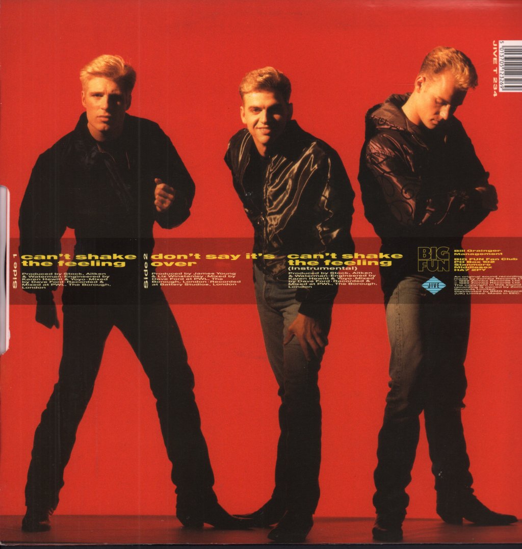Big Fun - Can't Shake The Feeling - 12 Inch