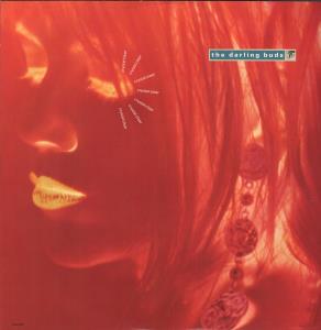 Darling Buds - Crystal Clear - 12 Inch