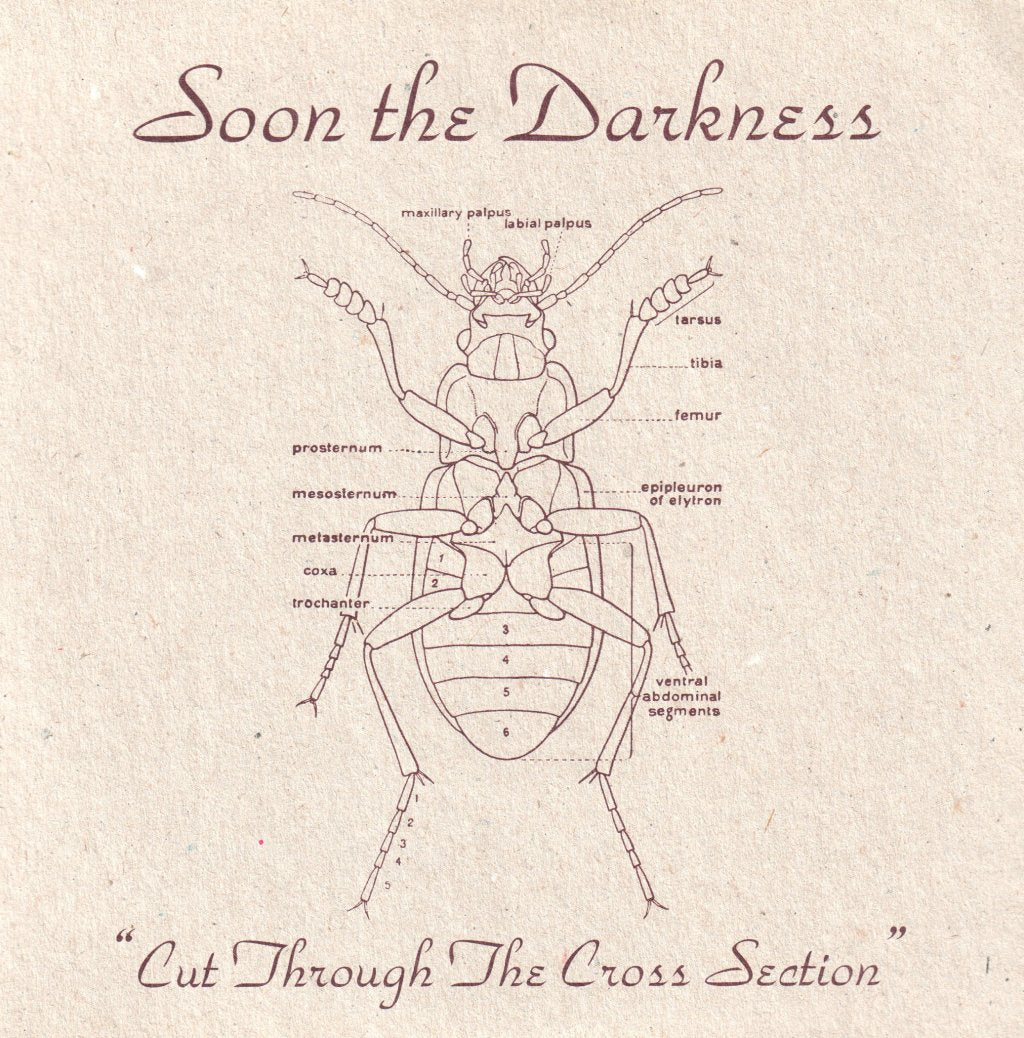 soon the darkness - Cut Through The Cross Section - 7 Inch