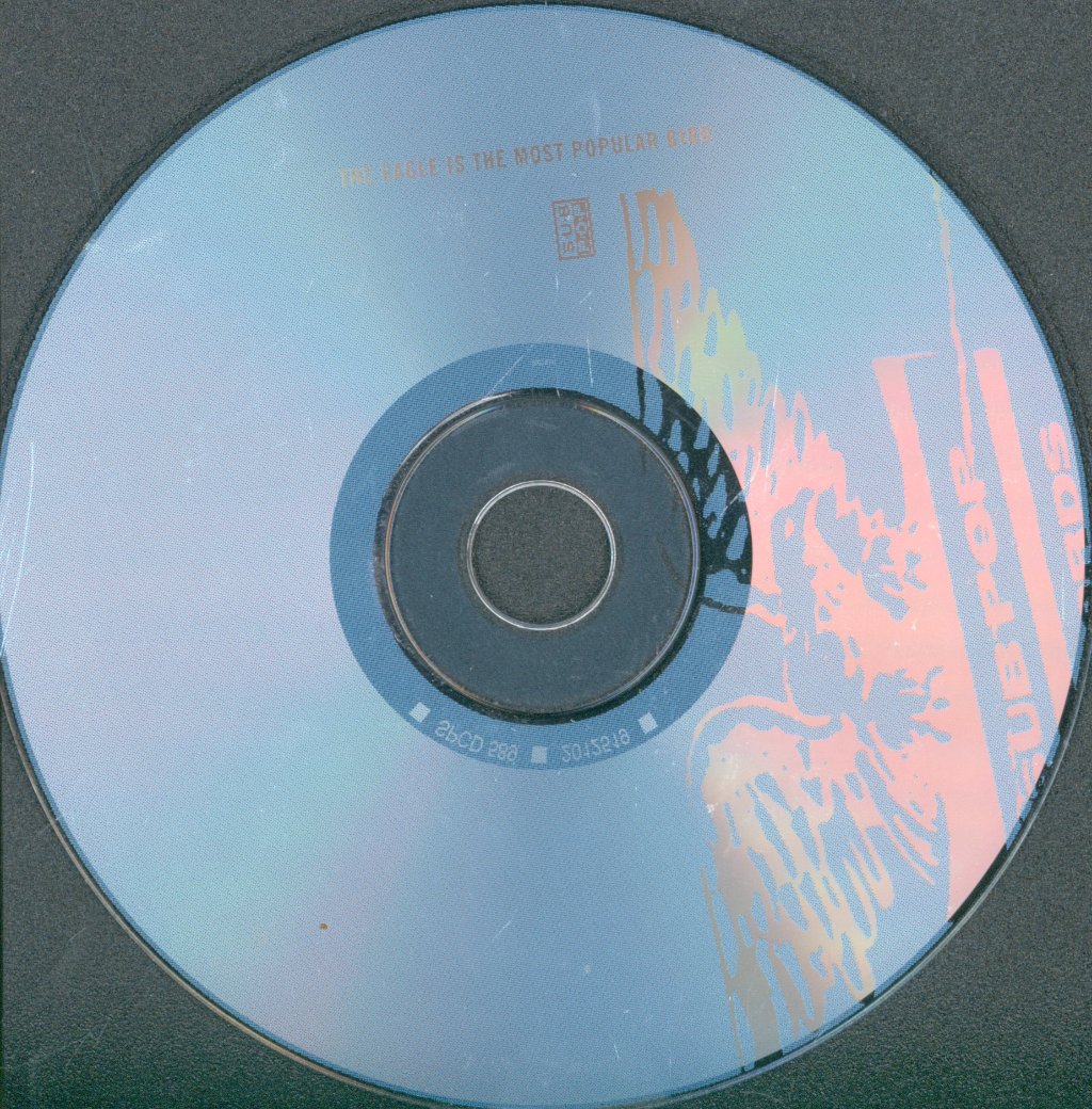 Various Artists - Eagle Is The Most Popular Bird - Cd