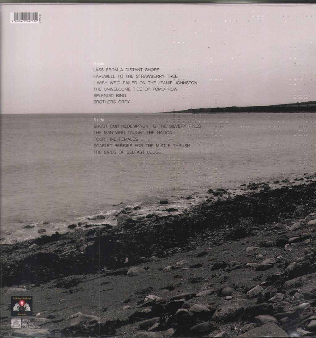 Alison O'Donnell - Hark The Voice That Sings For All : New Songs In An Ancient Tradition - Lp