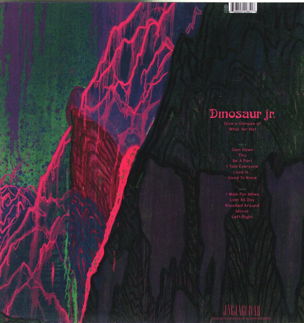 Dinosaur Jr. - Give A Glimpse Of What Yer Not - Lp