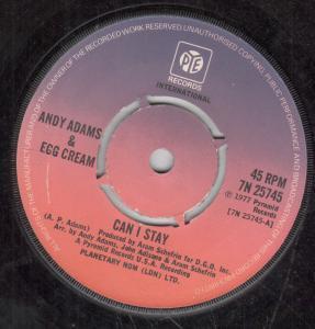 Andy Adams And Egg Cream - Can I Stay - 7 Inch