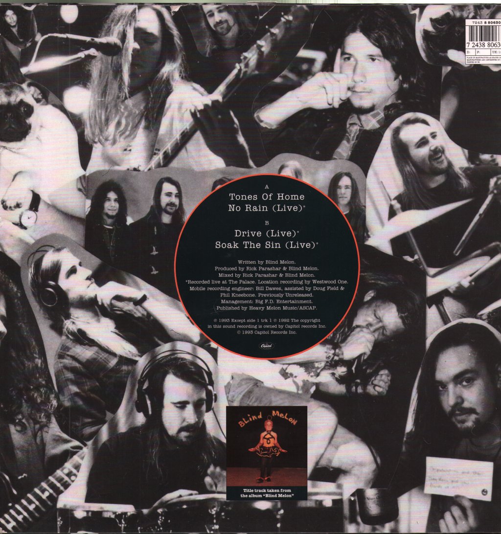 Blind Melon - Tones Of Home - 12 Inch
