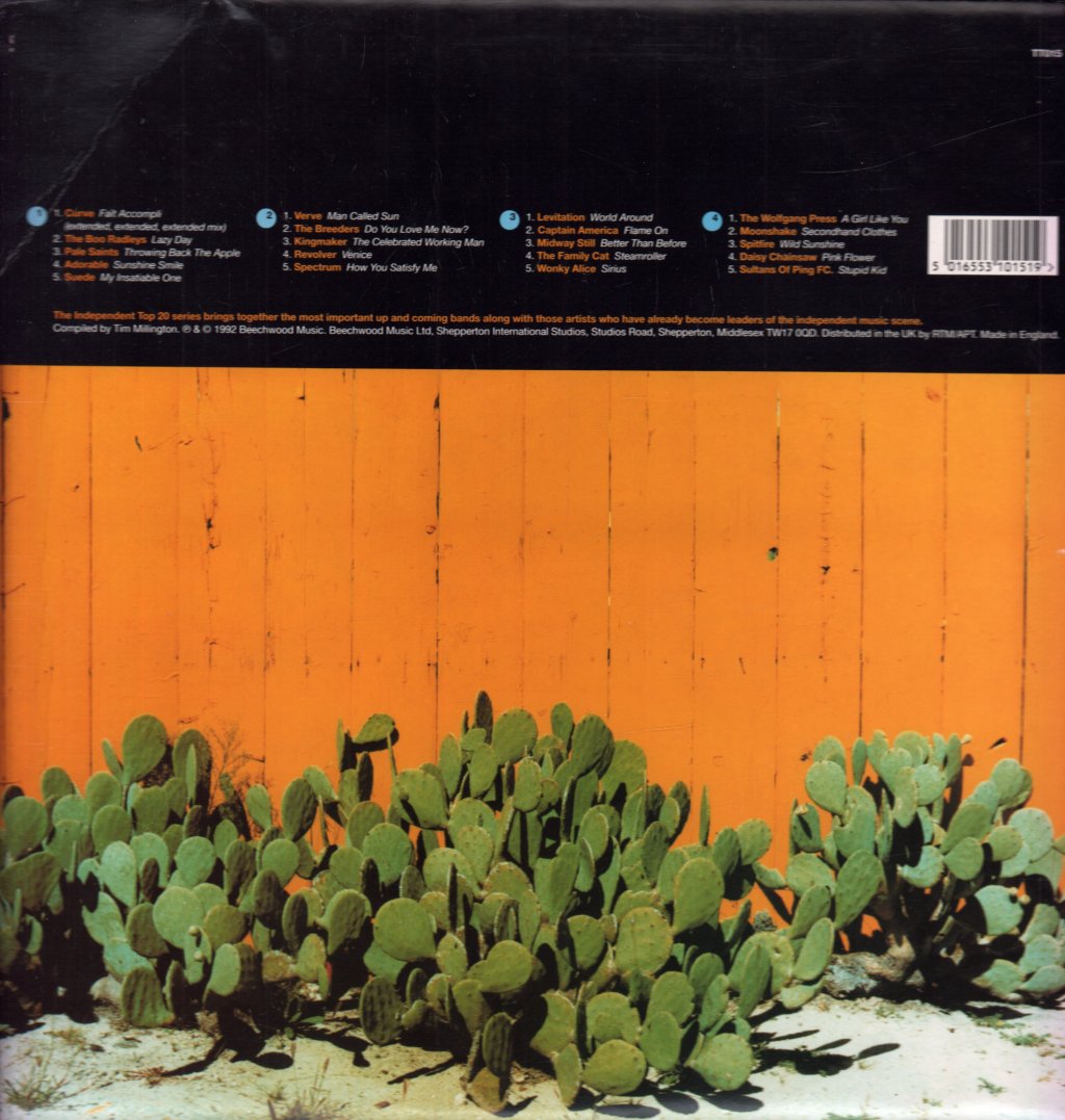 Various Artists - Independent 20 - Double Lp