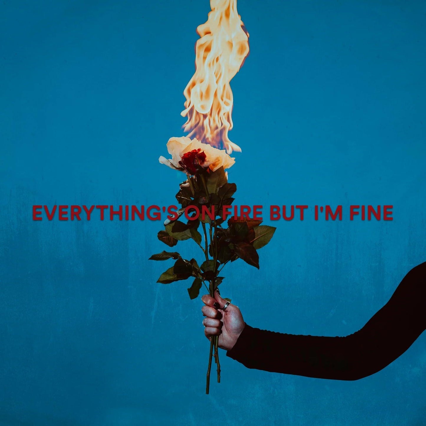 As December Falls - Everything's On Fire But I'm Fine - Lp