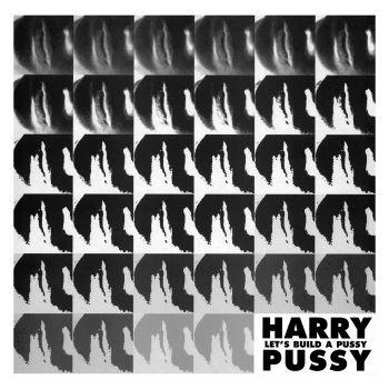 Harry Pussy - Let's Build A Pussy - Double Lp