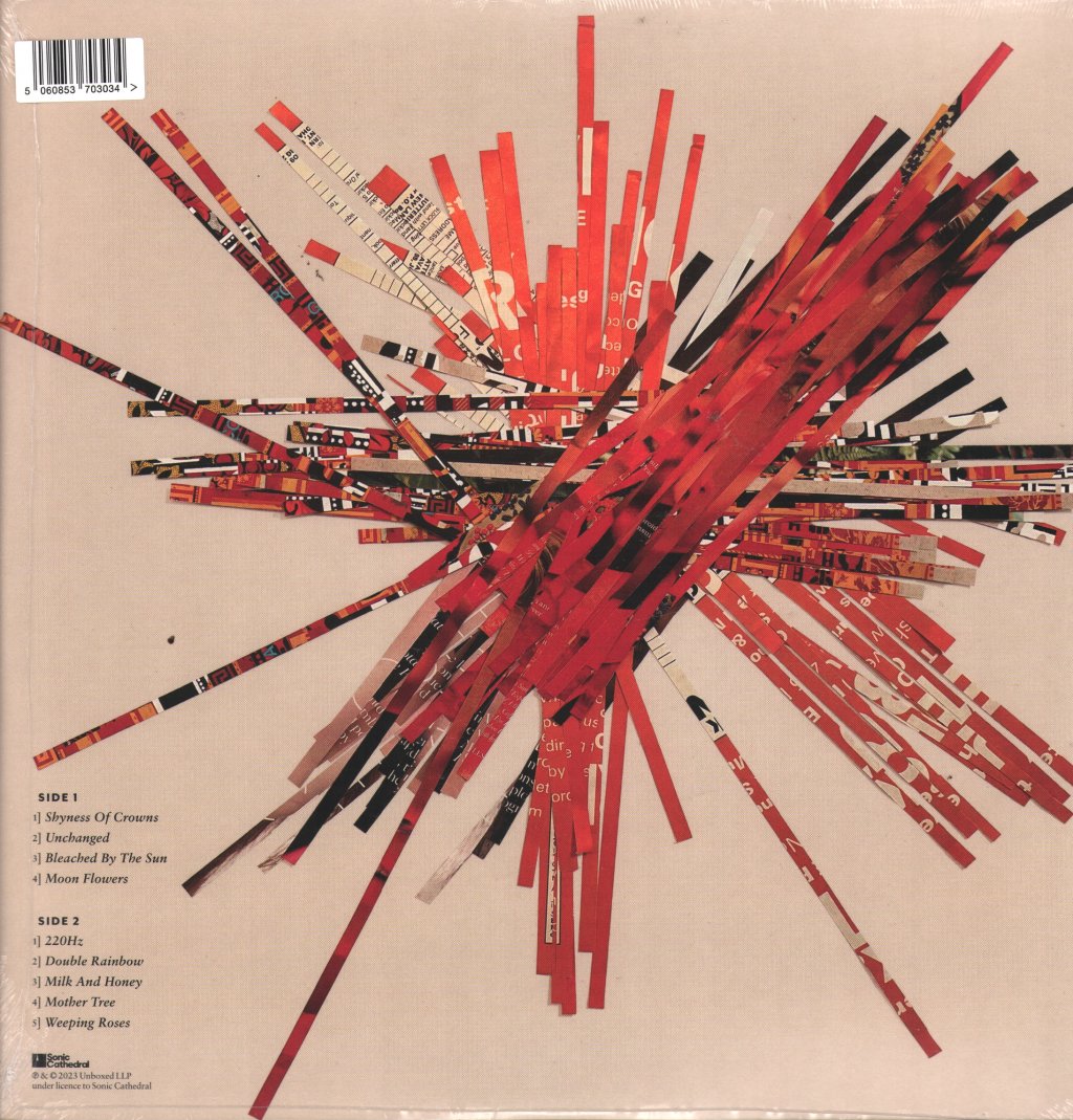 Dot Allison - Consciousology - Lp
