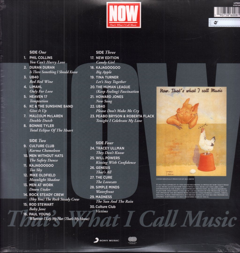 Various Artists - Now That's What I Call Music - Double Lp