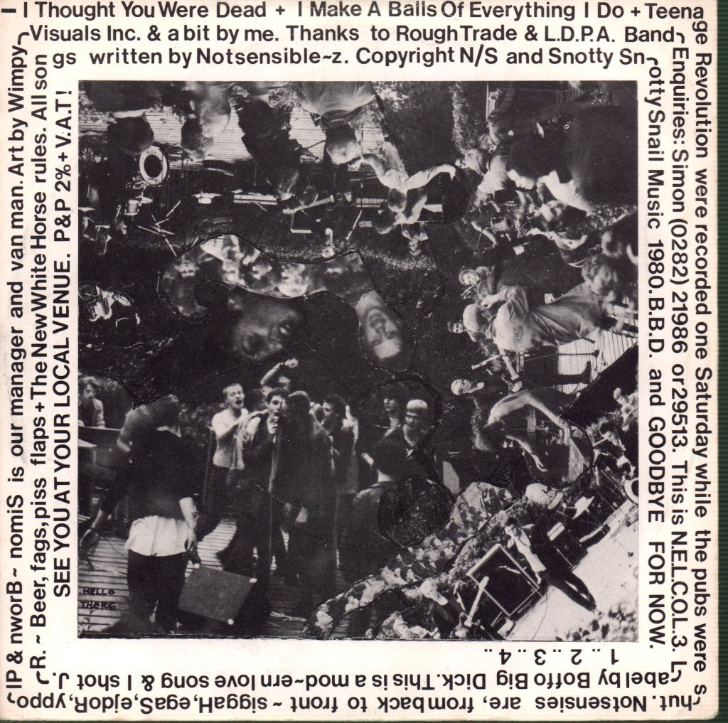 Notsensibles - I Thought You Were Dead - 7 Inch