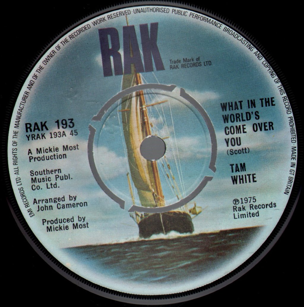 Tam White - What In The World's Come Over You - 7 Inch