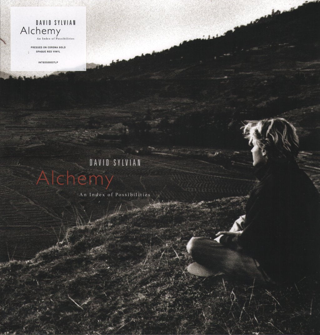 David Sylvian and Jon Hassell - Alchemy: An Index Of Possibilities - Lp