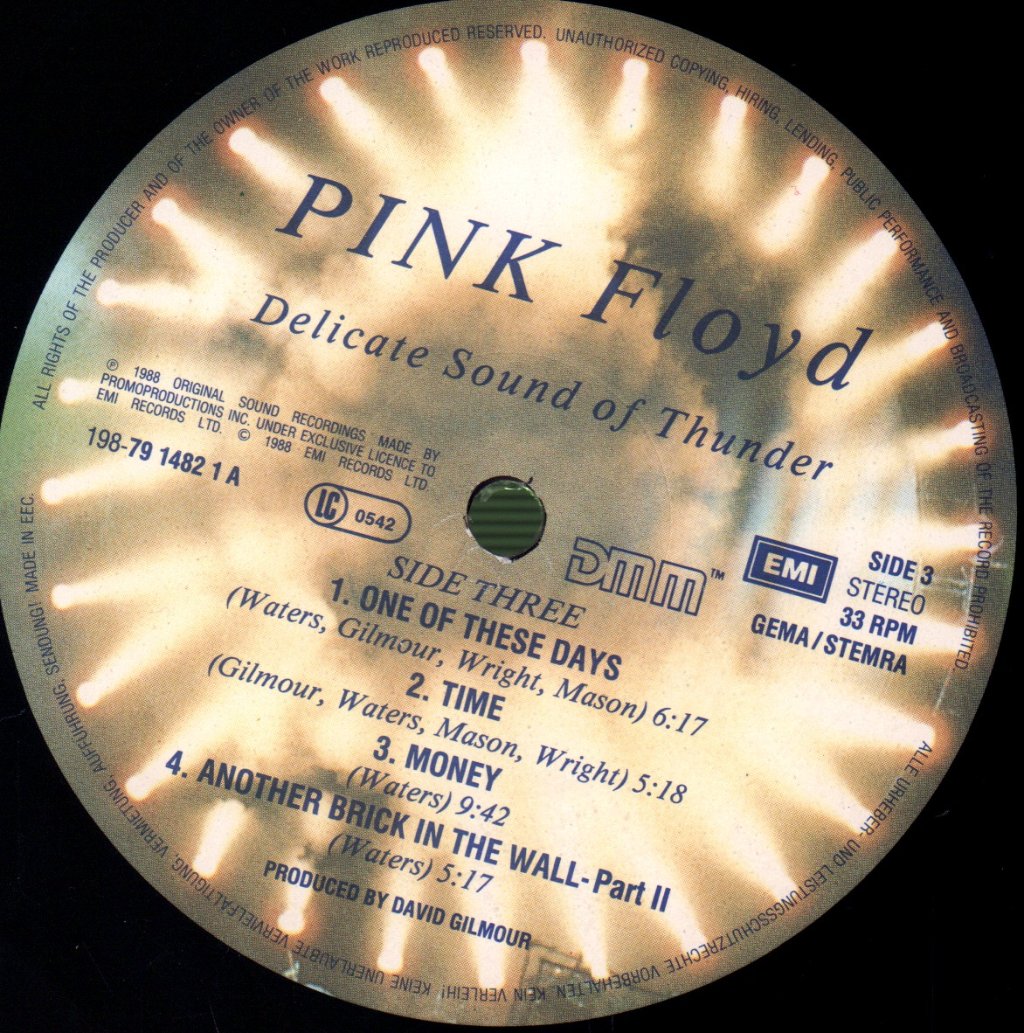 Pink Floyd - Delicate Sound Of Thunder - Lp