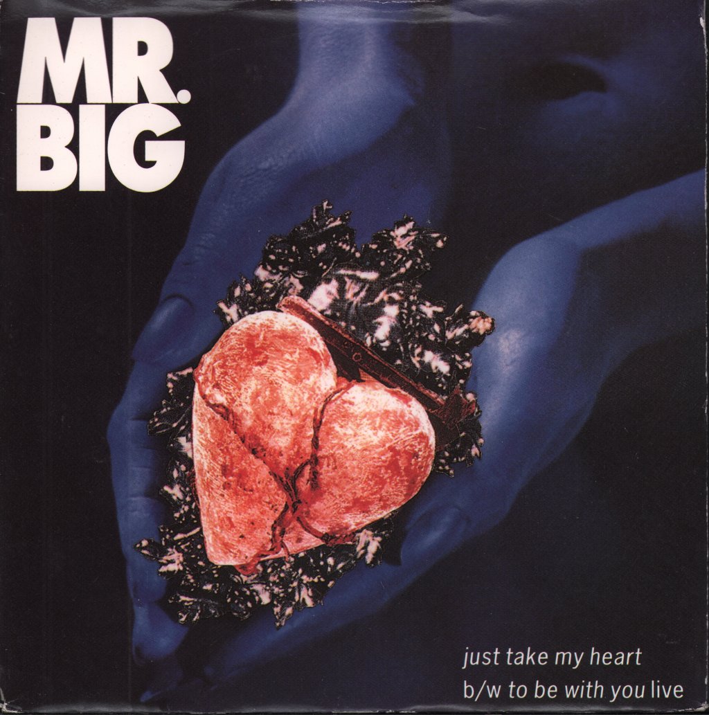 Mr Big (Metal Group) - Just Take My Heart - 7 Inch