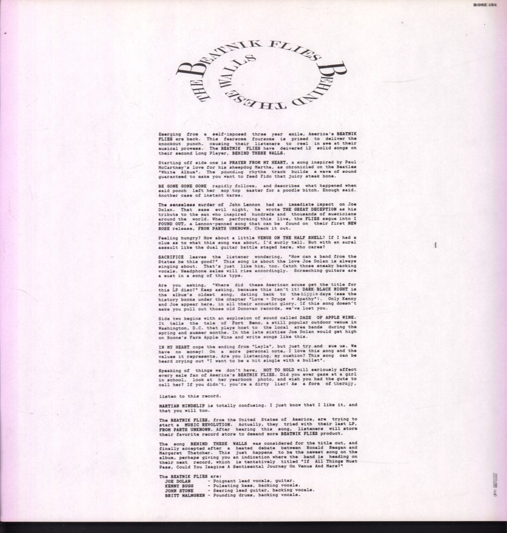 Beatnik Flies - Behind These Walls - Lp