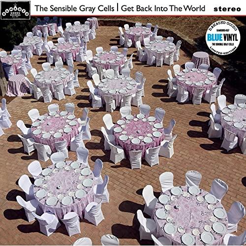 Sensible Gray Cells - Get Back Into the World - Lp