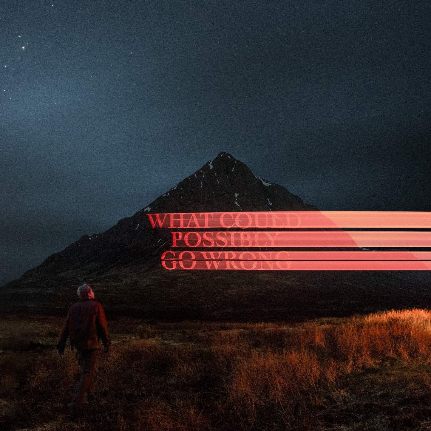 Dominic Fike - What Could Possibly Go Wrong - Lp
