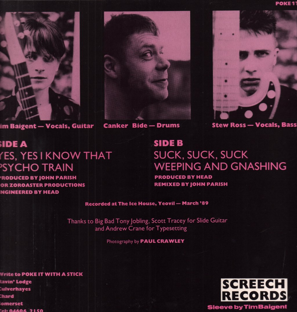Poke It With A Stick - Thrashing Out Of Weirdsville - 12 Inch