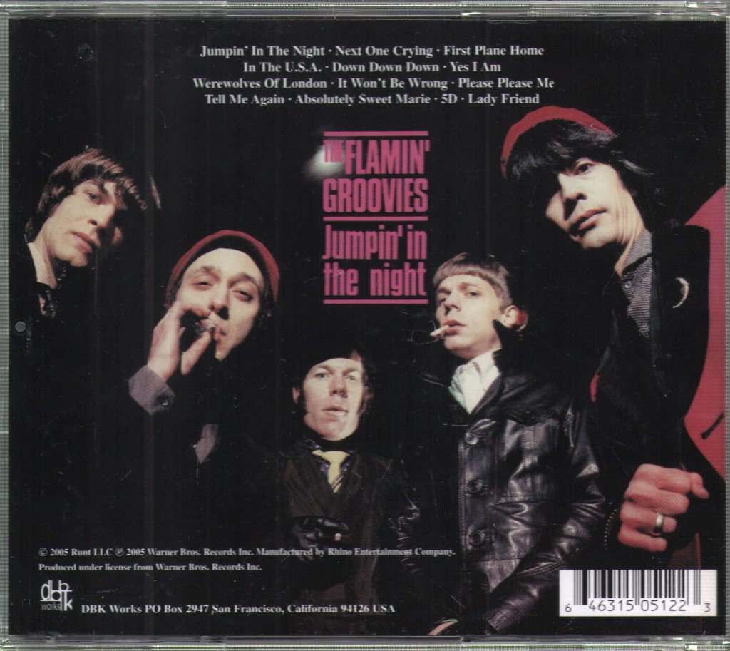Flamin' Groovies - Jumpin' In The Night - Cd