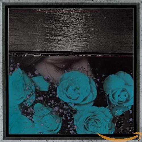 Jessica Bailiff - At the Down-Turned Jagged Rim of the Sky - Cd
