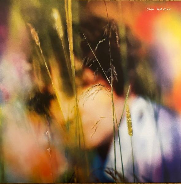 Sam Amidon - Sam Amidon - Lp