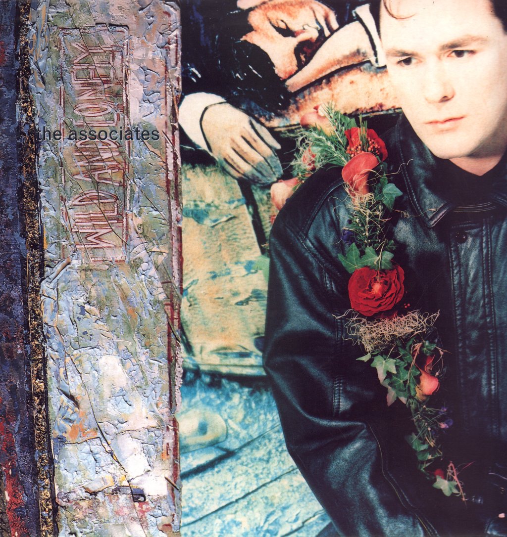 Associates - Wild And Lonely - Lp
