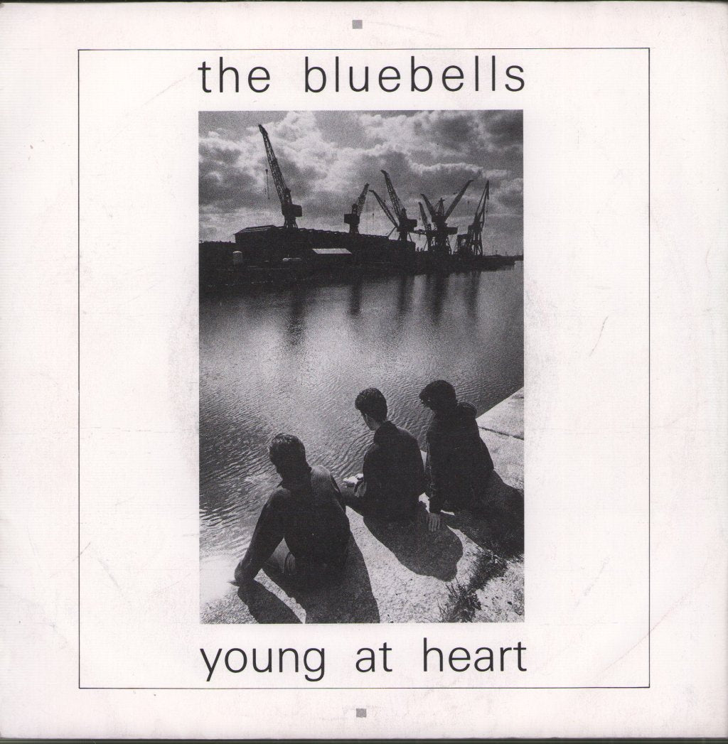 Bluebells - Young At Heart - 7 Inch