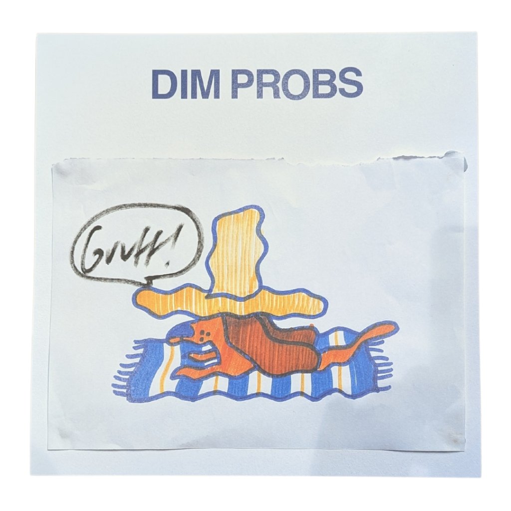 Gruff Rhys - Dim Probs - Lp