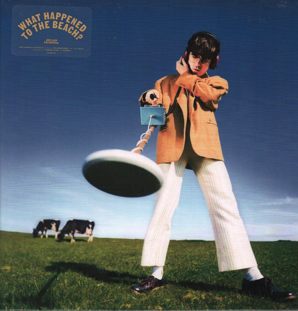 Declan Mckenna - What Happened to the Beach? - Lp