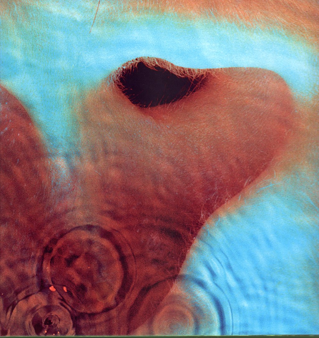Pink Floyd - Meddle - Lp