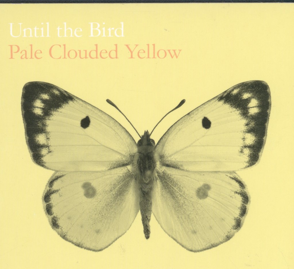 Until The Bird - Pale Clouded Yellow - Cd