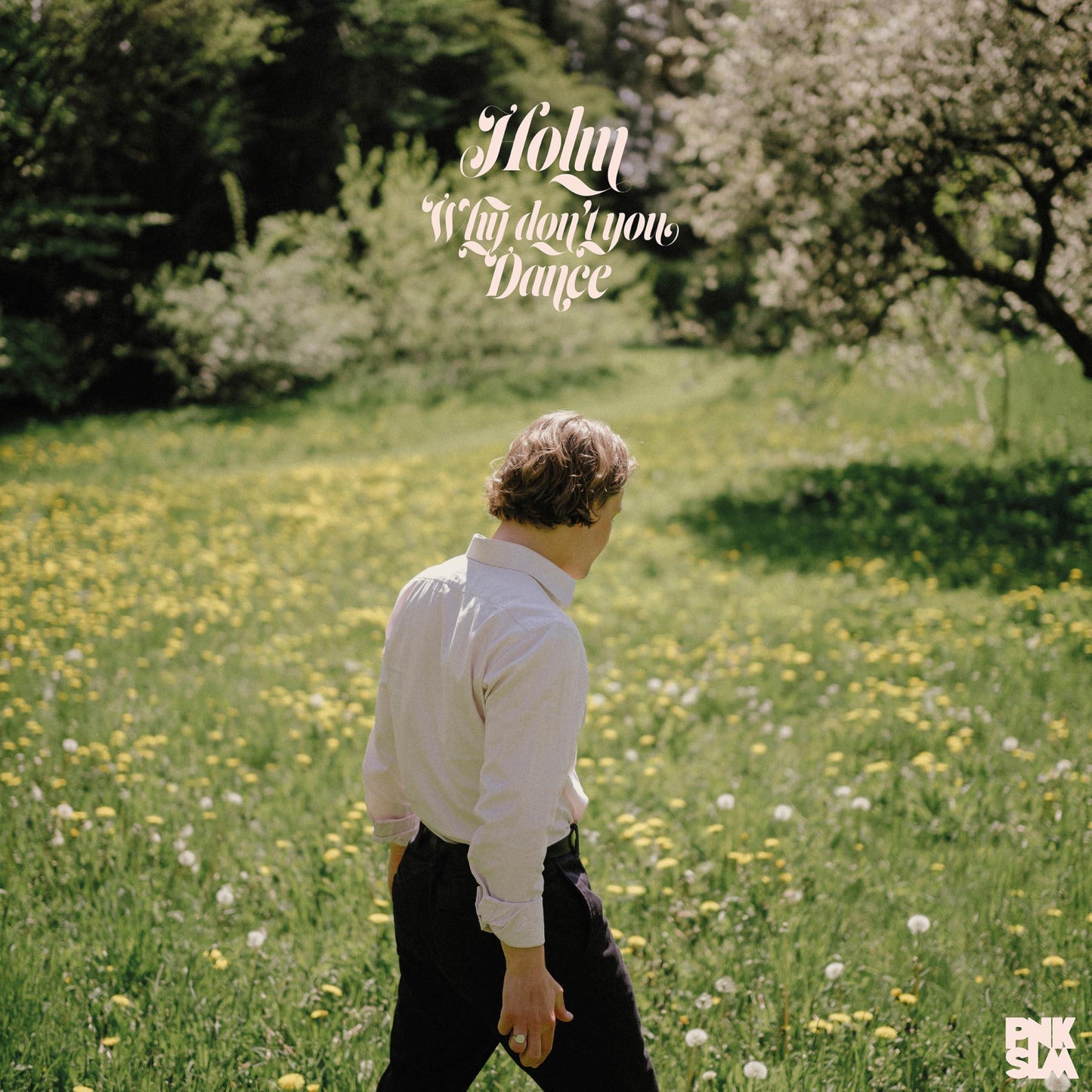 holm - Why Don't You Dance - Lp